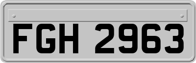 FGH2963
