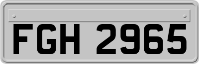 FGH2965