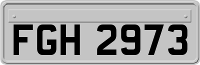 FGH2973