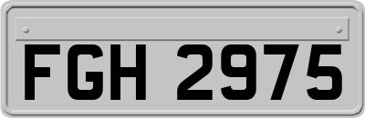FGH2975