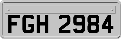 FGH2984