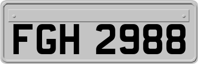 FGH2988