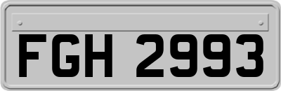 FGH2993