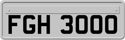 FGH3000