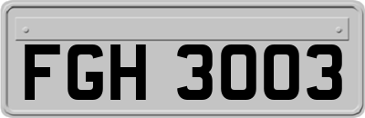 FGH3003