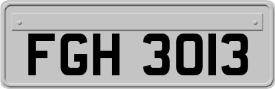 FGH3013