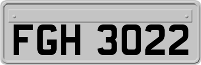 FGH3022