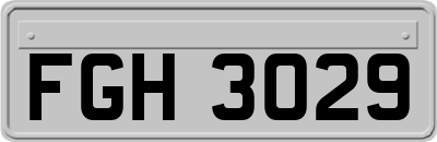 FGH3029
