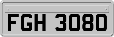 FGH3080