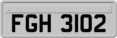 FGH3102