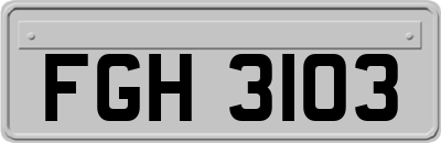 FGH3103