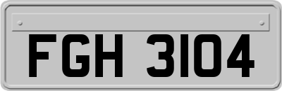 FGH3104