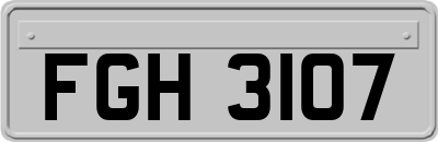 FGH3107