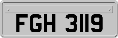 FGH3119