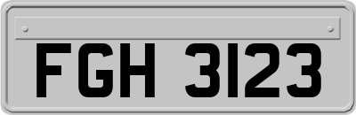 FGH3123