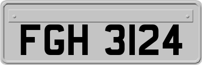 FGH3124