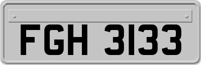 FGH3133