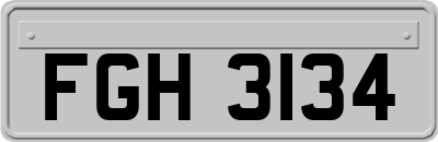 FGH3134