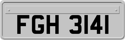 FGH3141