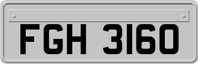 FGH3160