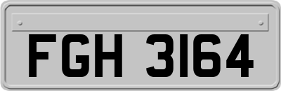FGH3164