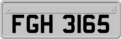 FGH3165