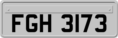 FGH3173