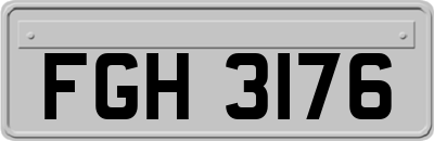 FGH3176