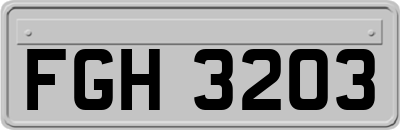 FGH3203