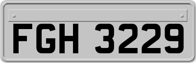 FGH3229