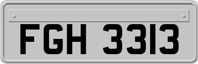 FGH3313