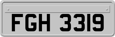 FGH3319