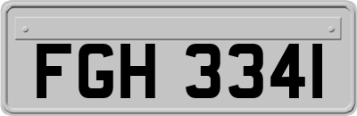 FGH3341