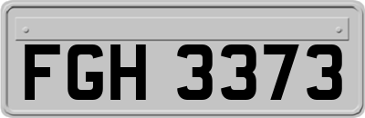 FGH3373
