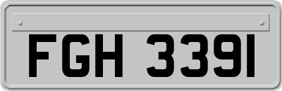FGH3391