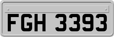 FGH3393