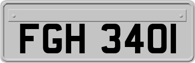 FGH3401