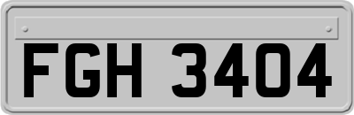 FGH3404