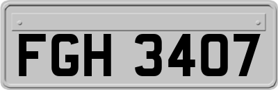FGH3407