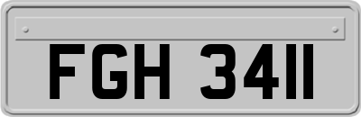 FGH3411
