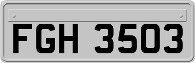 FGH3503