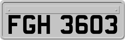 FGH3603