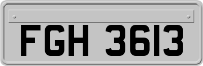 FGH3613