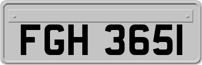FGH3651