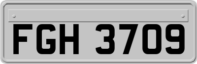 FGH3709