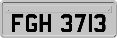 FGH3713
