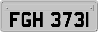 FGH3731