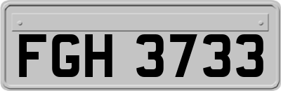 FGH3733