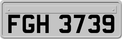 FGH3739