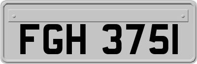 FGH3751
